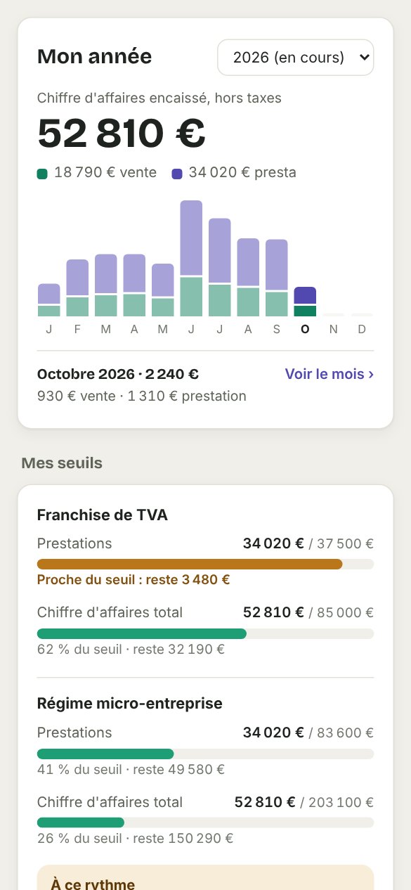 Écran Année : chiffre d'affaires mois par mois et jauges des seuils de TVA et du régime micro.